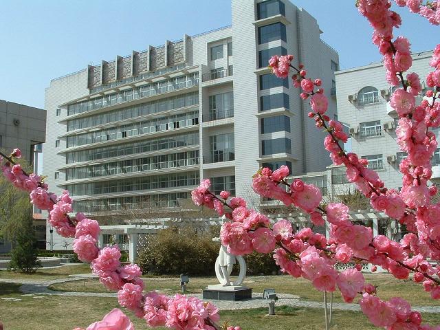 美女抠逼内射